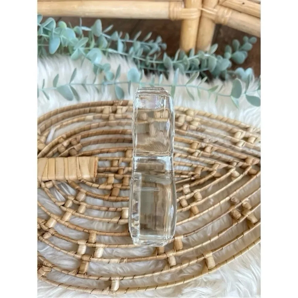 Dansk Crystal Zoo Lion Clear Glass Paperweight Naiad Einsel Mid Century Figurine